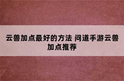 云兽加点最好的方法 问道手游云兽加点推荐